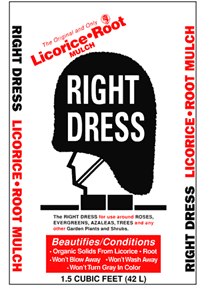 right_dress